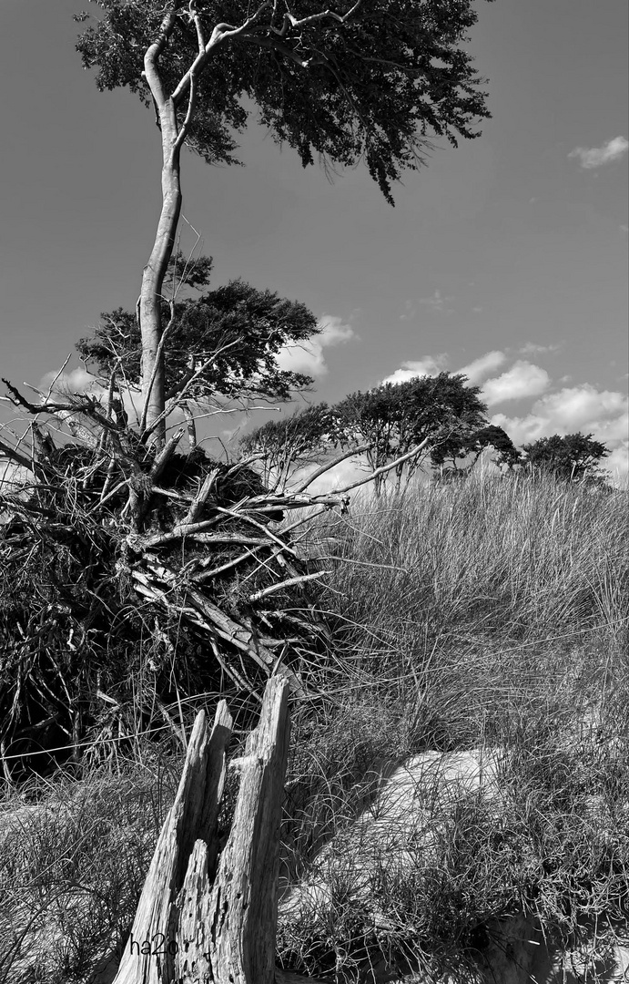 wunderschöne Ostsee