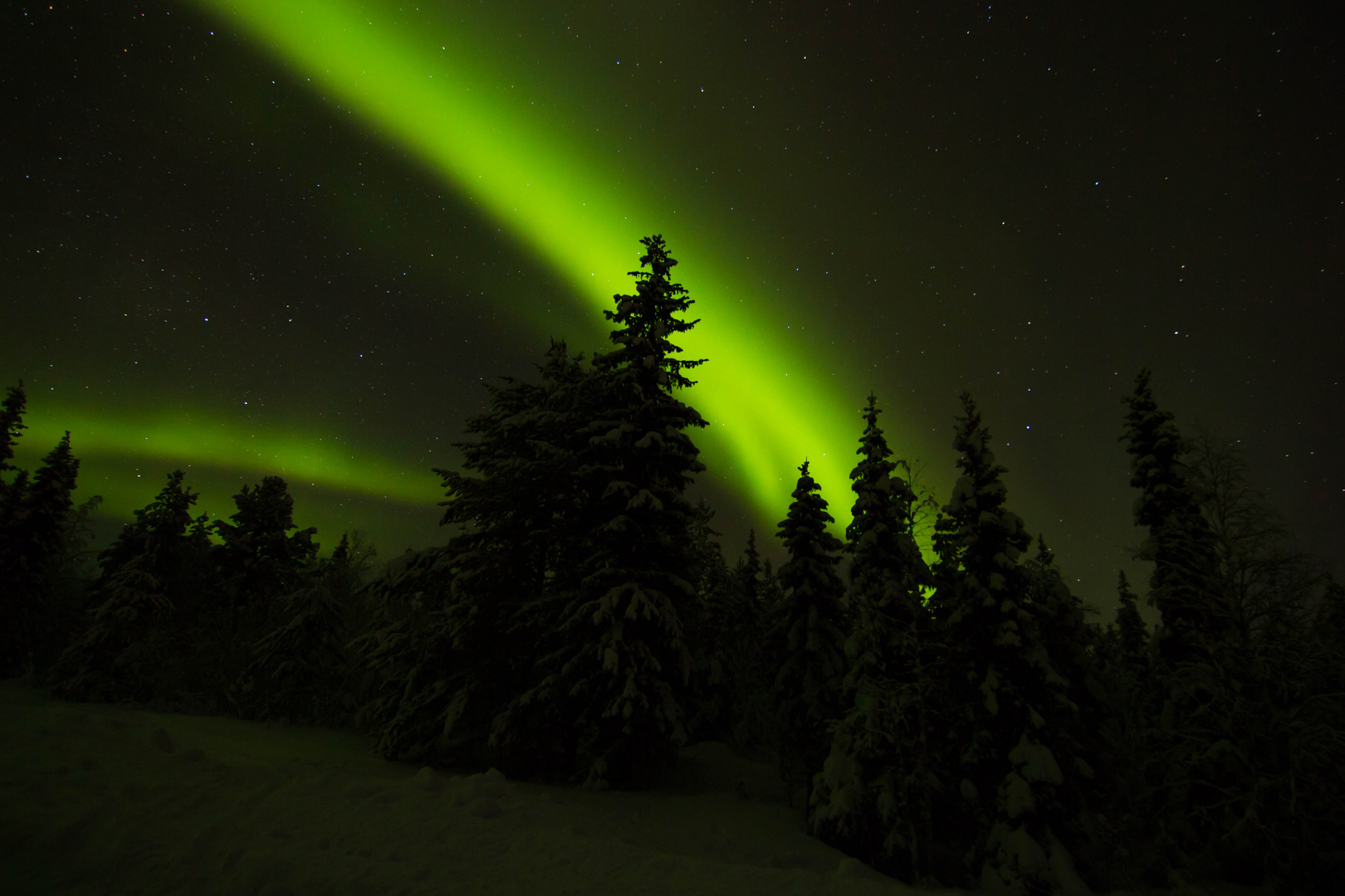 Wunderschöne Polarlichter