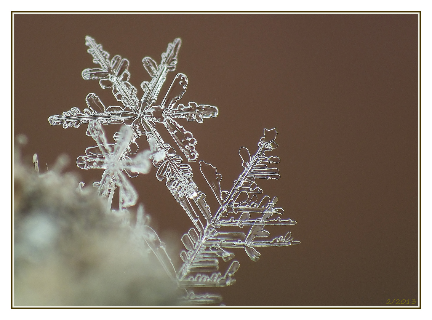 Wunderschöne Schneeflocke