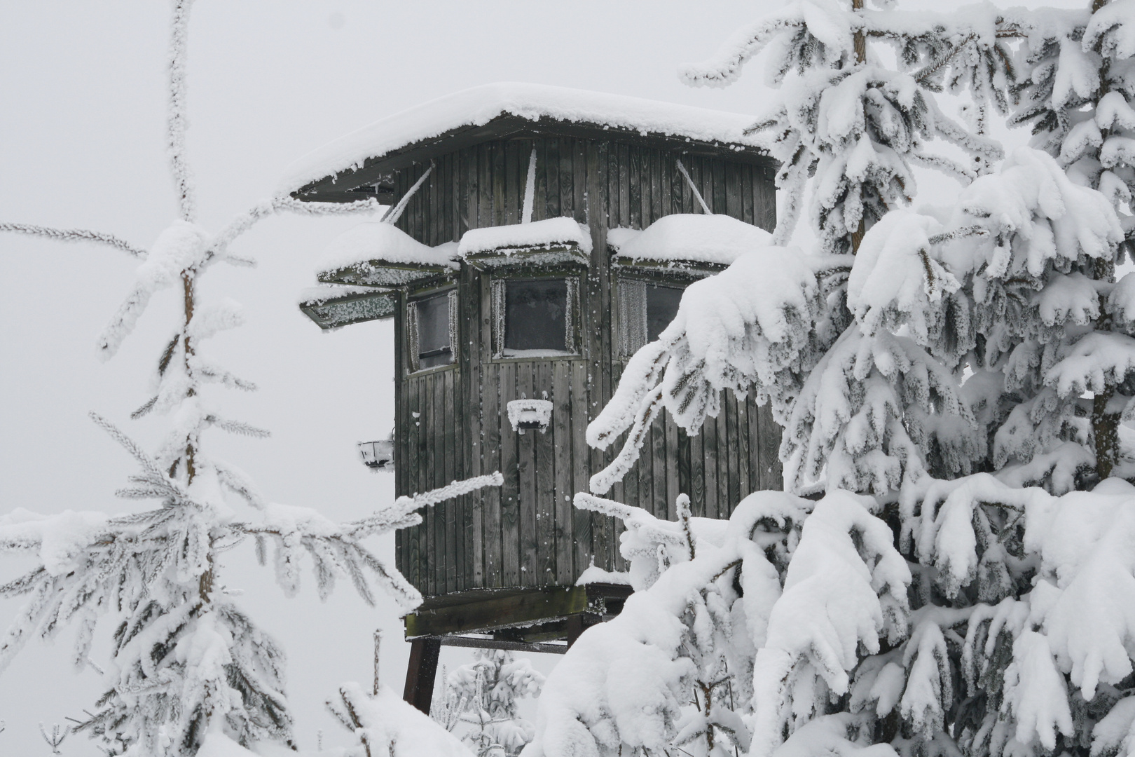 wunderschöne Schneelandschaft