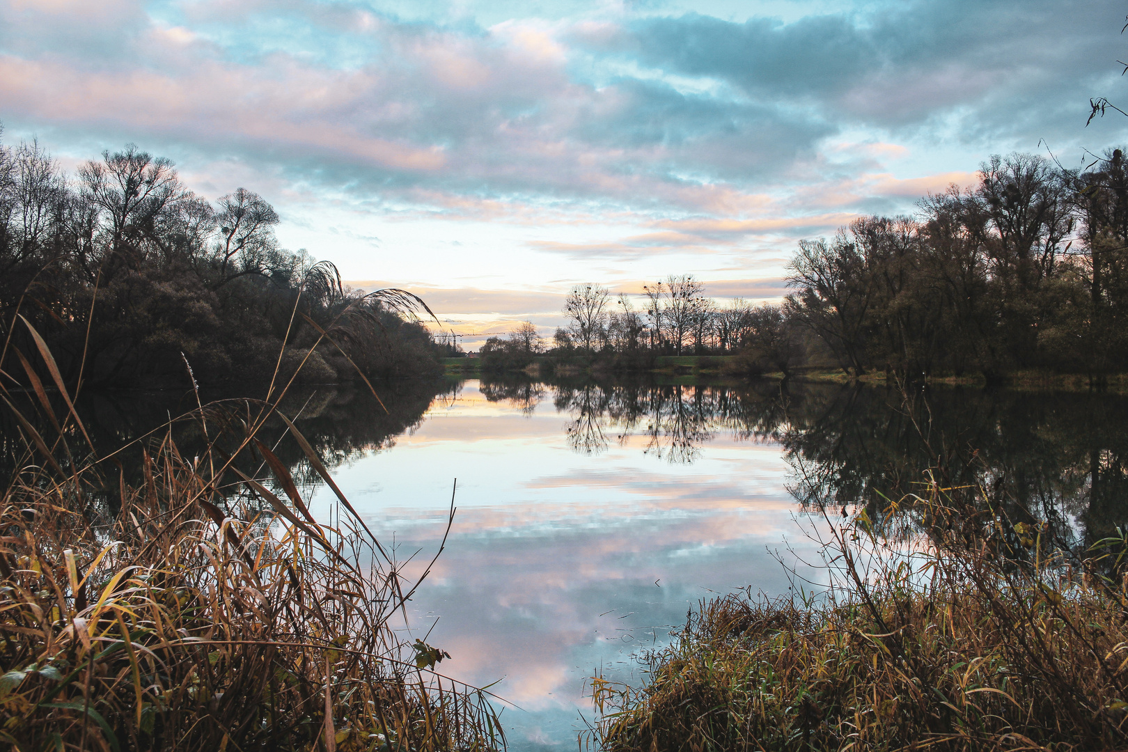 Wunderschöne Spiegelung an der Rheinaue 