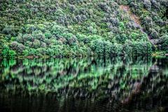 wunderschöne Spiegelung im Wasser