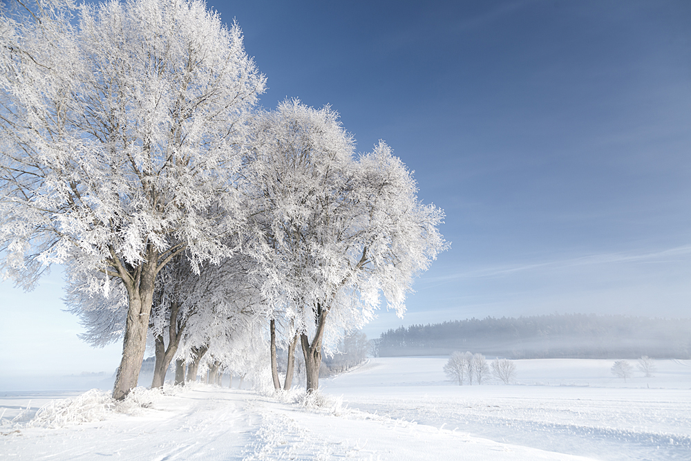 Wunderschöne Winter