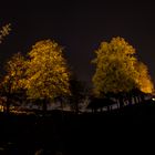 Wunderschöner Abend bei Sternenhimmel