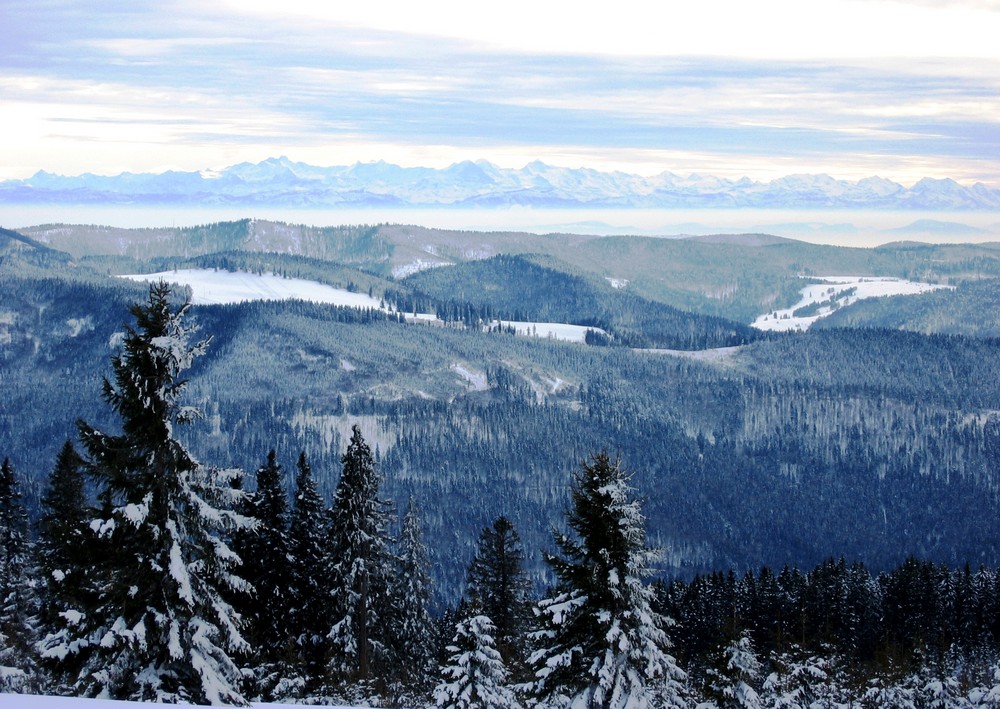 Wunderschöner Alpenblick