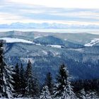 Wunderschöner Alpenblick