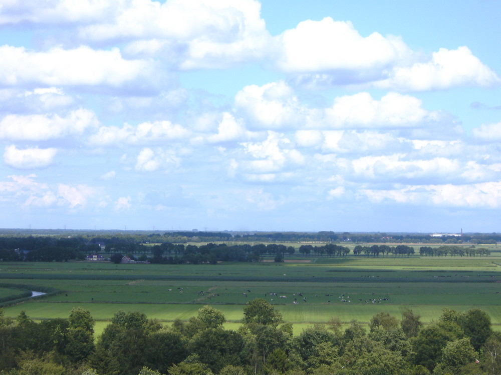 Wunderschöner Anblick!