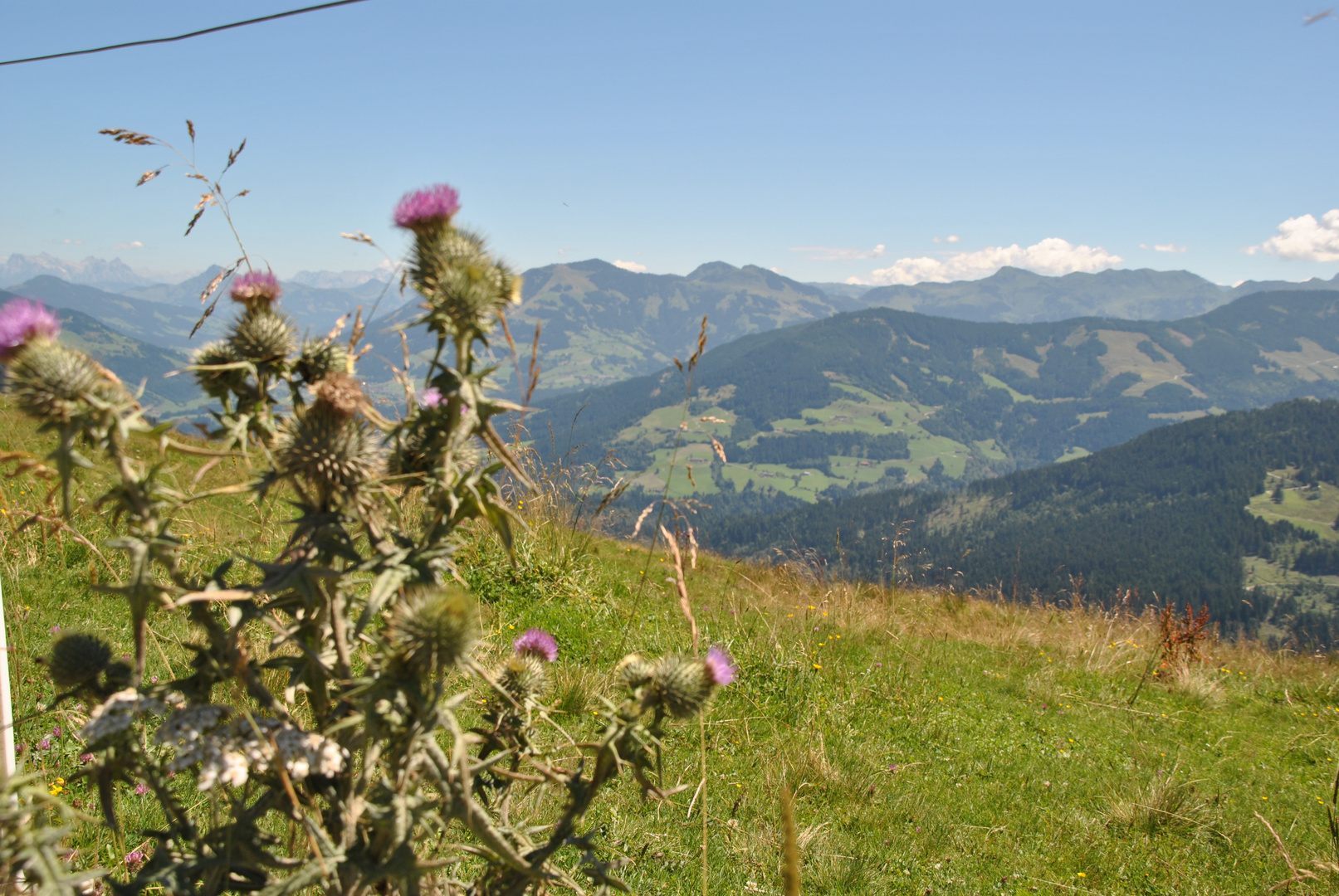 Wunderschöner Ausblick vom 1300 Meter hochgelegeenen Markbachjoch