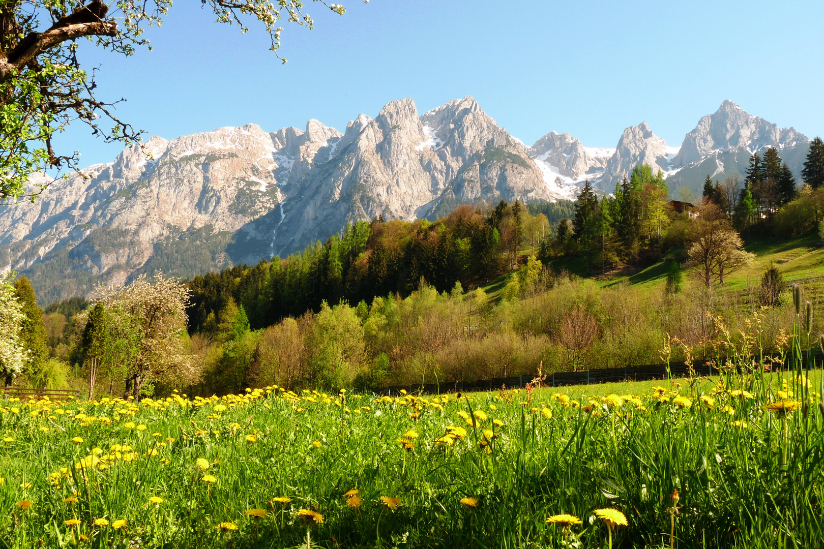 wunderschöner frühlingstag