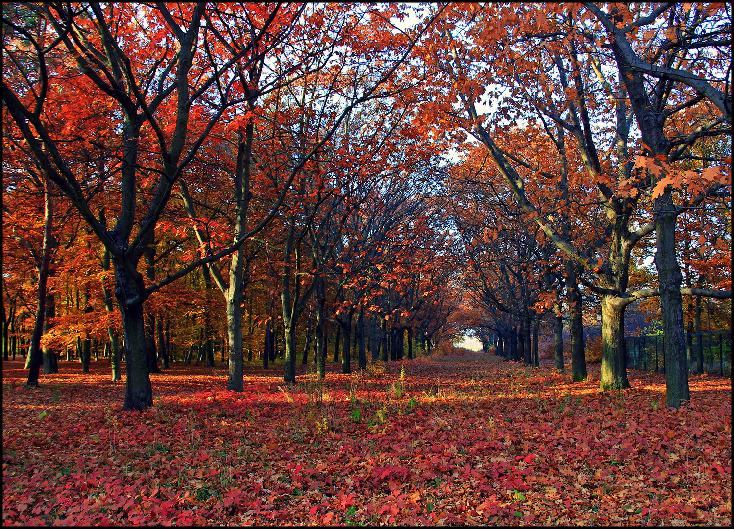 wunderschöner herbst