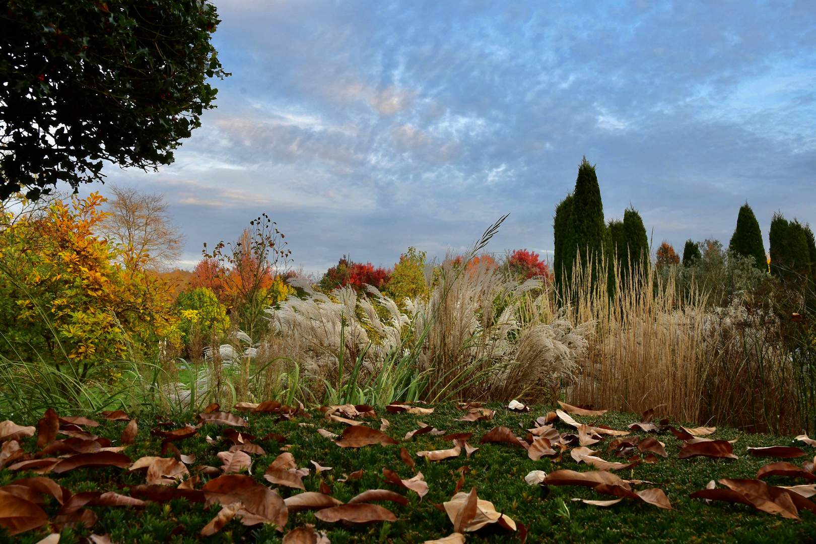 Wunderschöner Herbst 