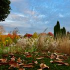 Wunderschöner Herbst 