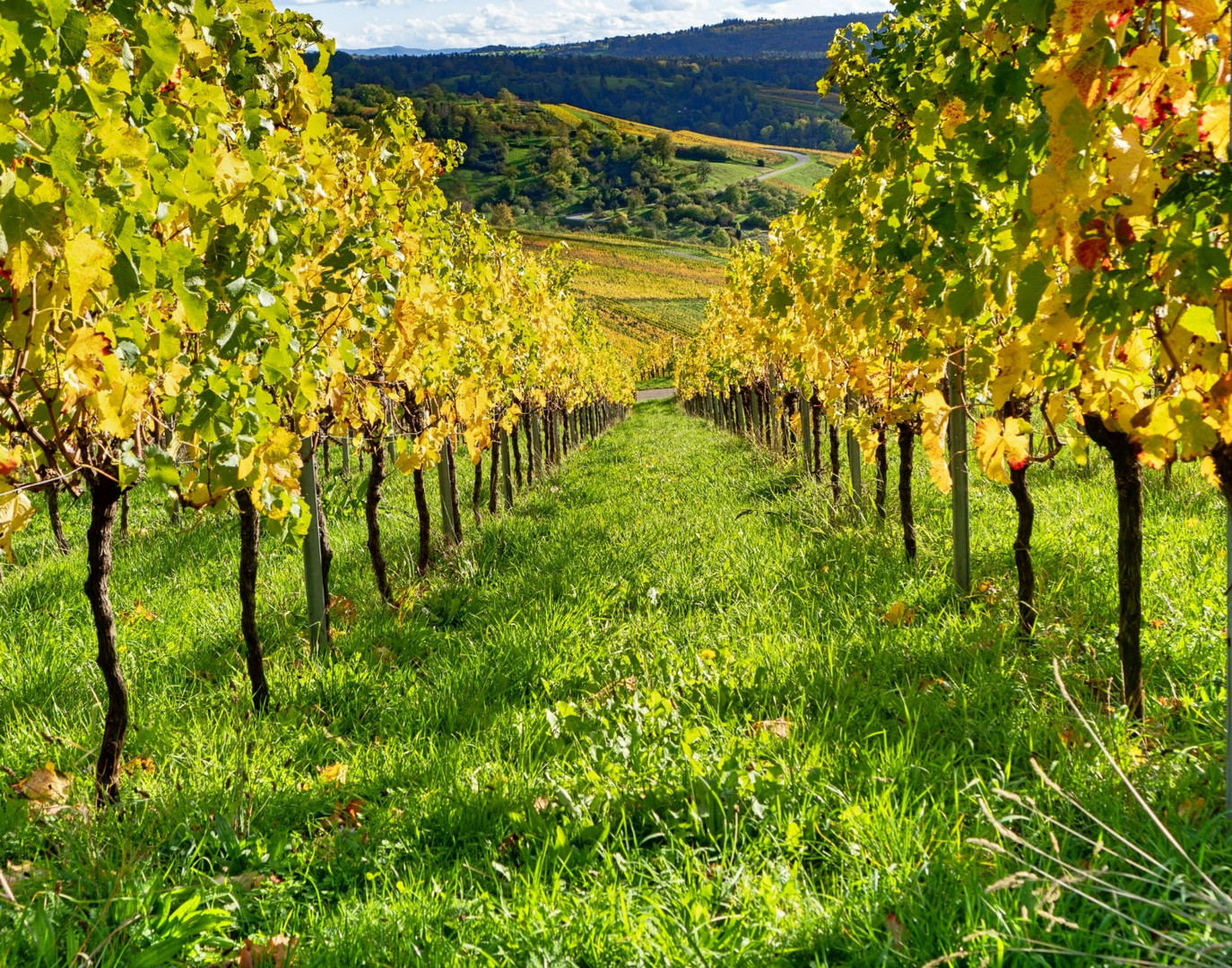 Wunderschöner Herbst