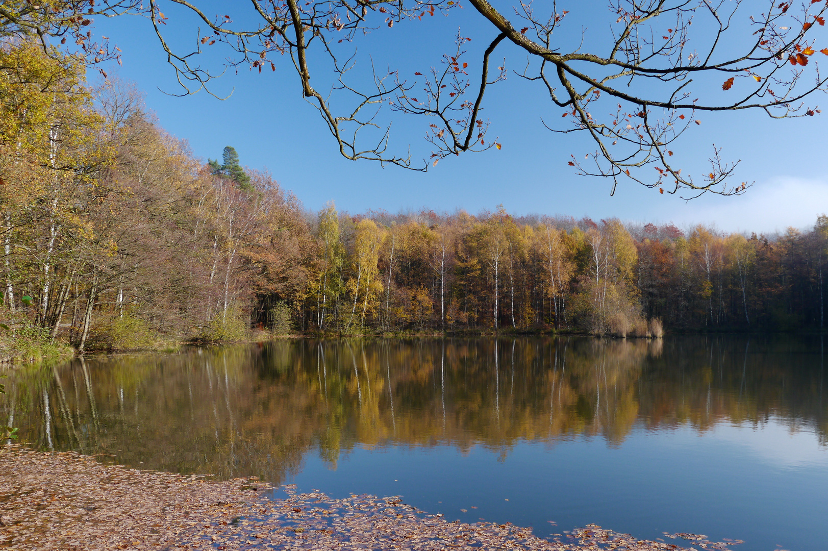 wunderschöner Herbst