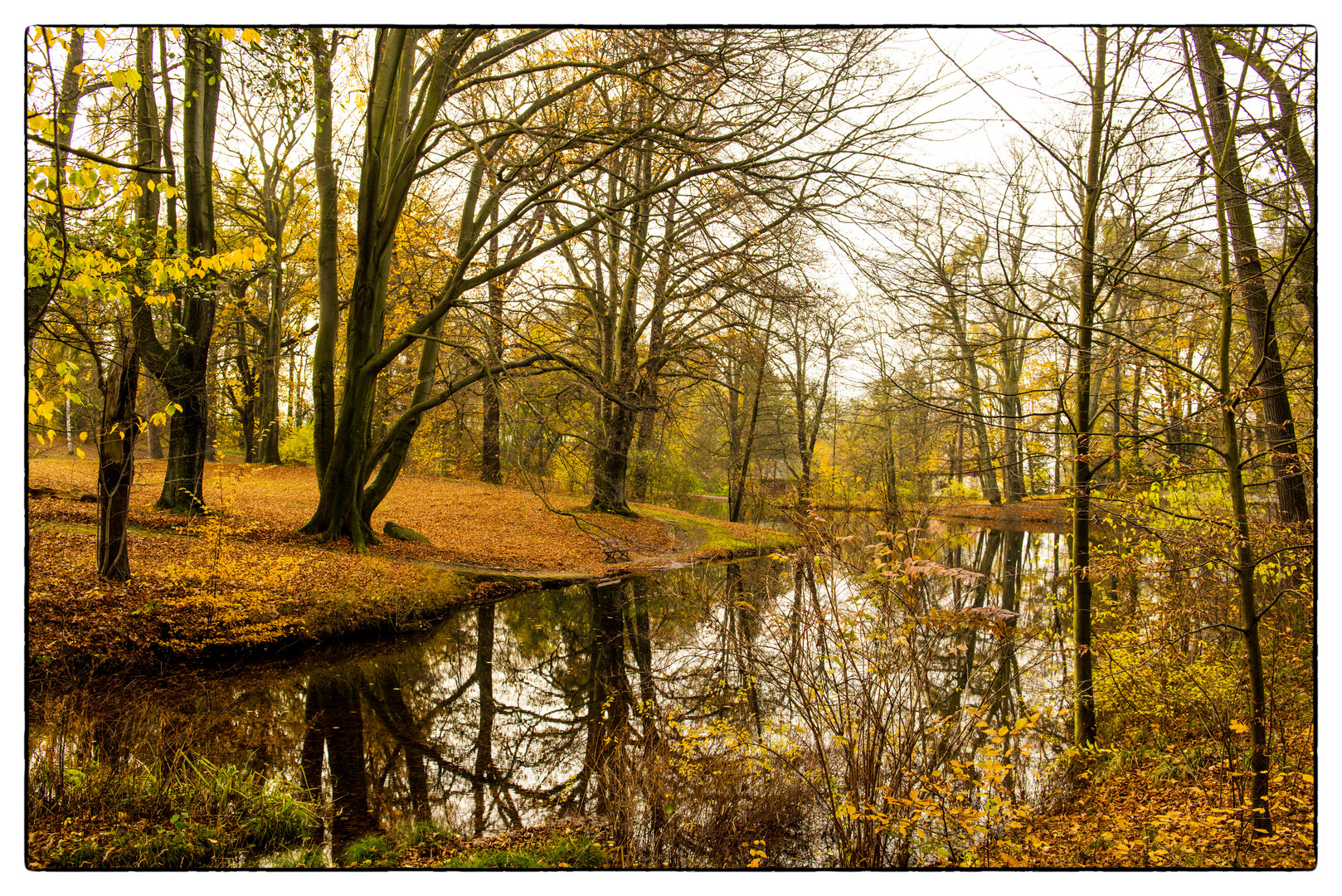 wunderschöner Herbst