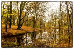 wunderschöner Herbst