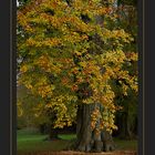 Wunderschöner Herbst