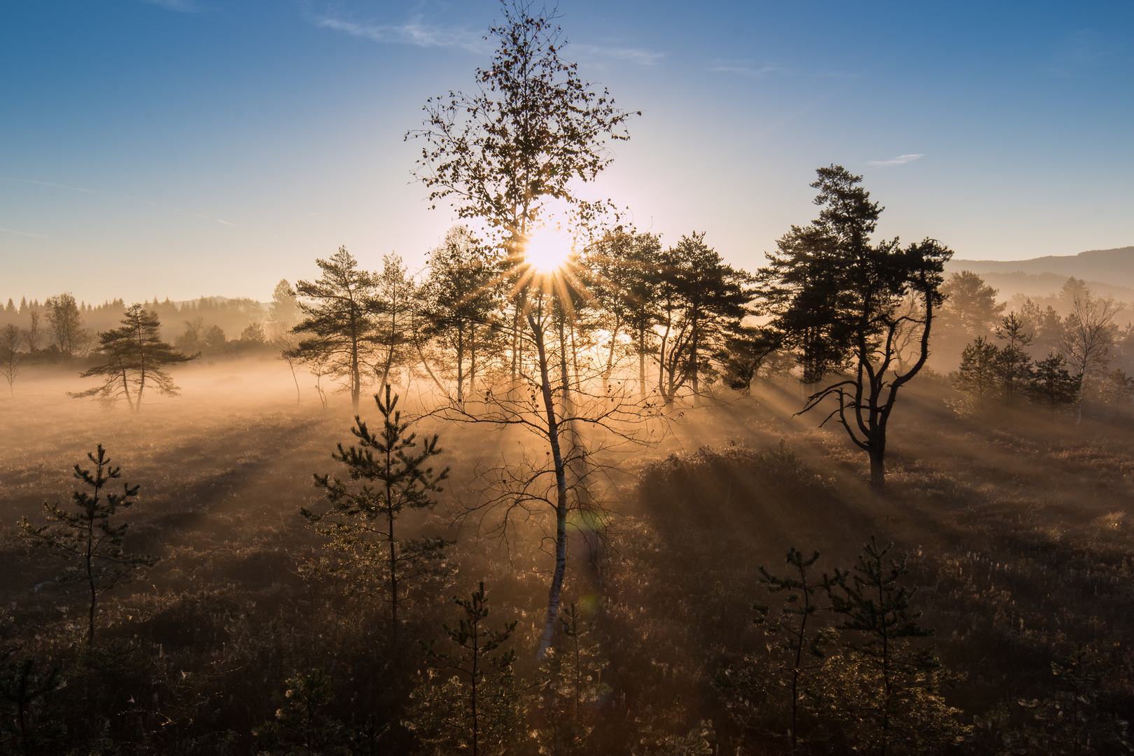 wunderschöner Herbst