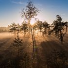 wunderschöner Herbst