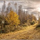 wunderschöner Herbst