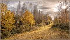 wunderschöner Herbst