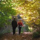 wunderschöner Herbstspaziergang