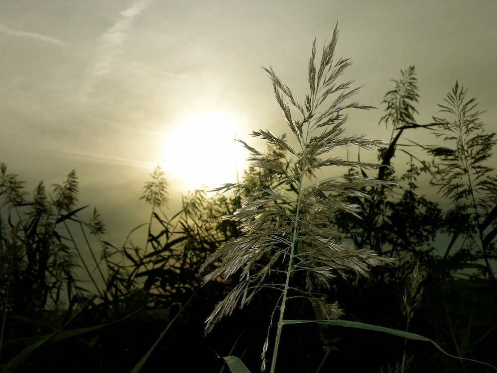 Wunderschöner Herbsttag