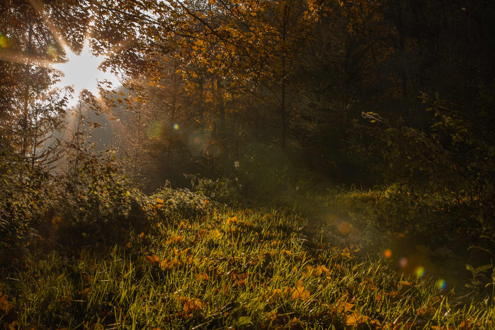 wunderschöner Herbsttag