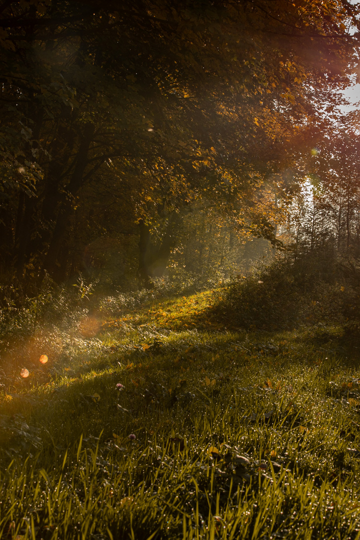 wunderschöner Herbsttag