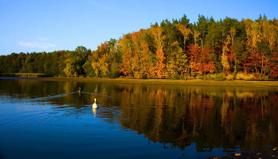 Wunderschöner Herbsttag