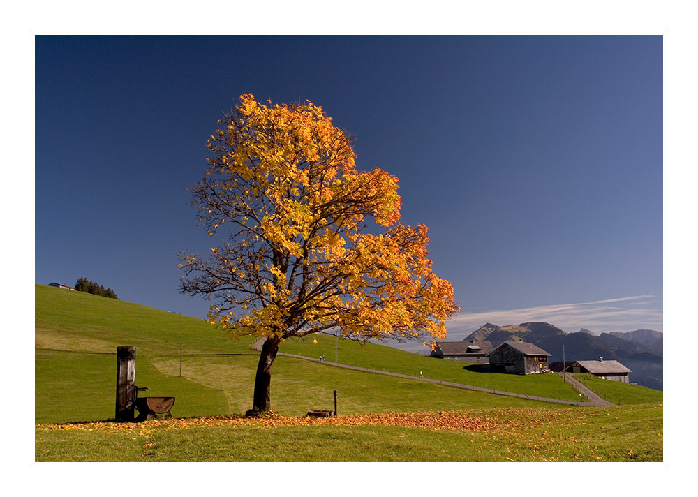 Wunderschöner Herbsttag!!!