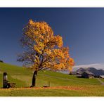 Wunderschöner Herbsttag!!!