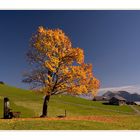 Wunderschöner Herbsttag!!!