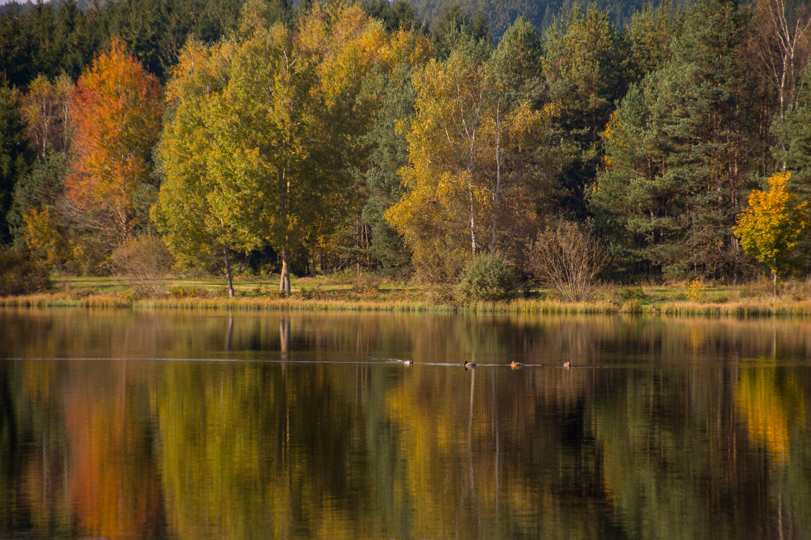 Wunderschöner Herbsttag