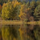 Wunderschöner Herbsttag