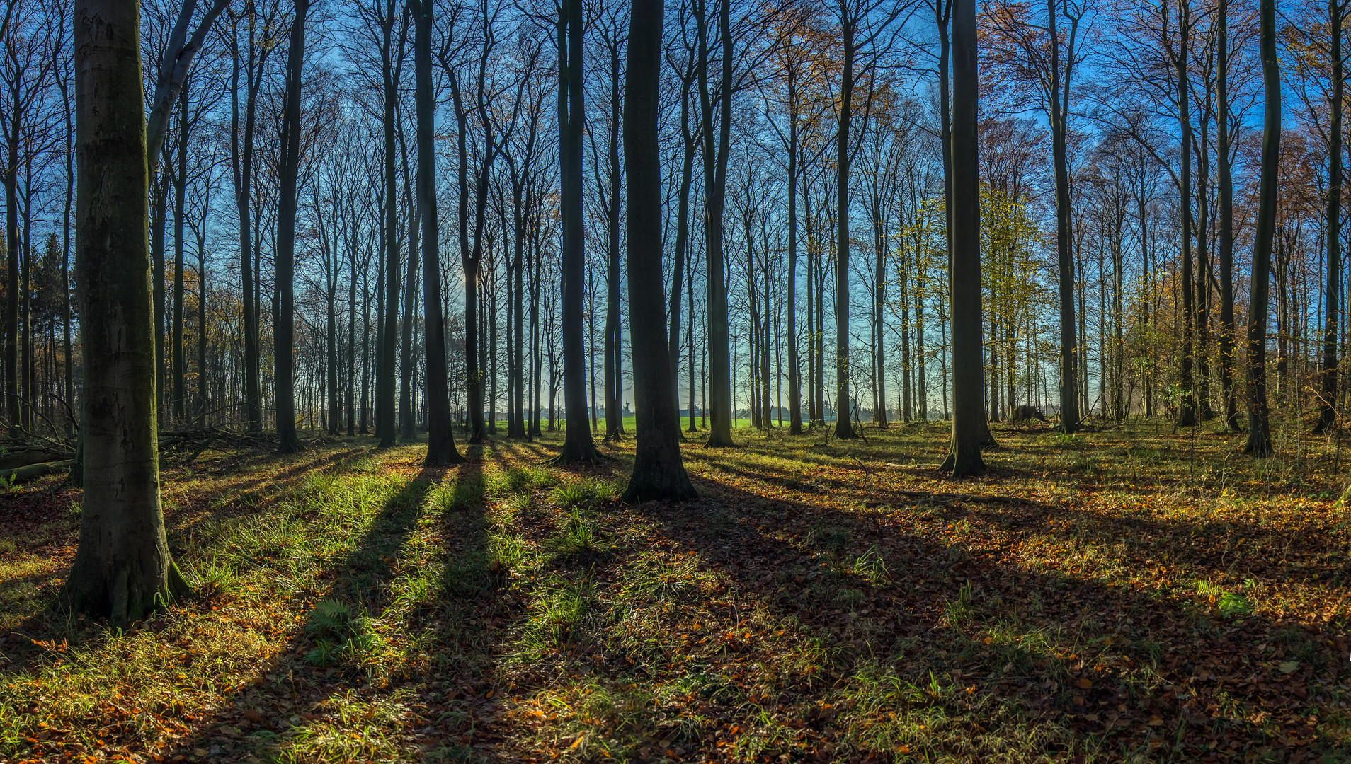 Wunderschöner Herbsttag im Moor