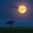 Wunderschöner Mondaufgang am 8.11.2022