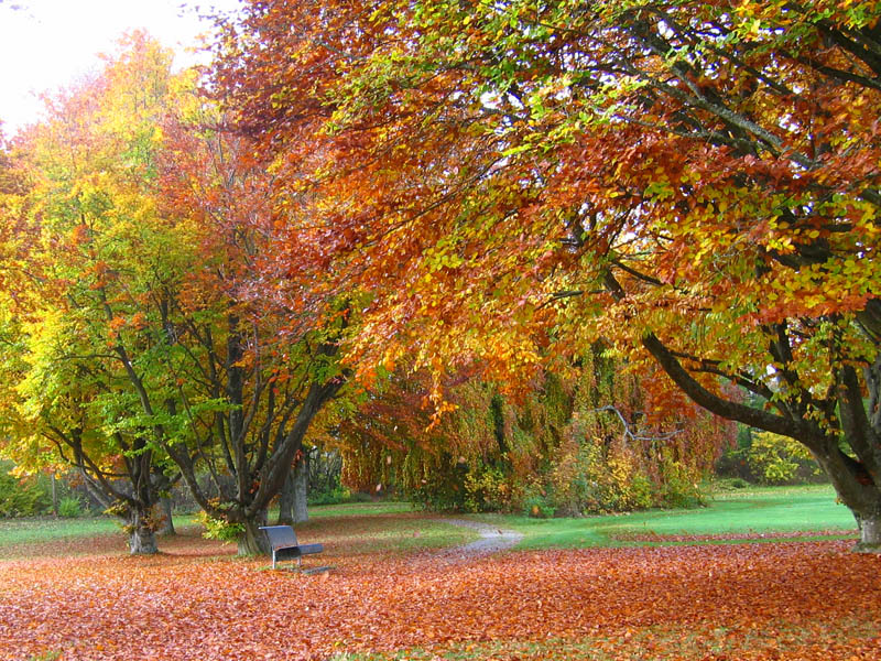 Wunderschöner Oktober