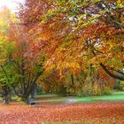 Wunderschöner Oktober