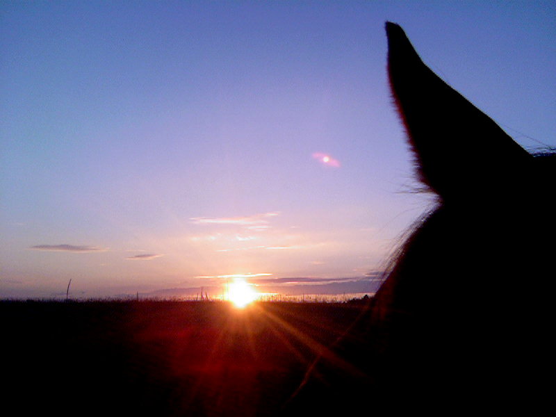 wunderschöner Sommerabend