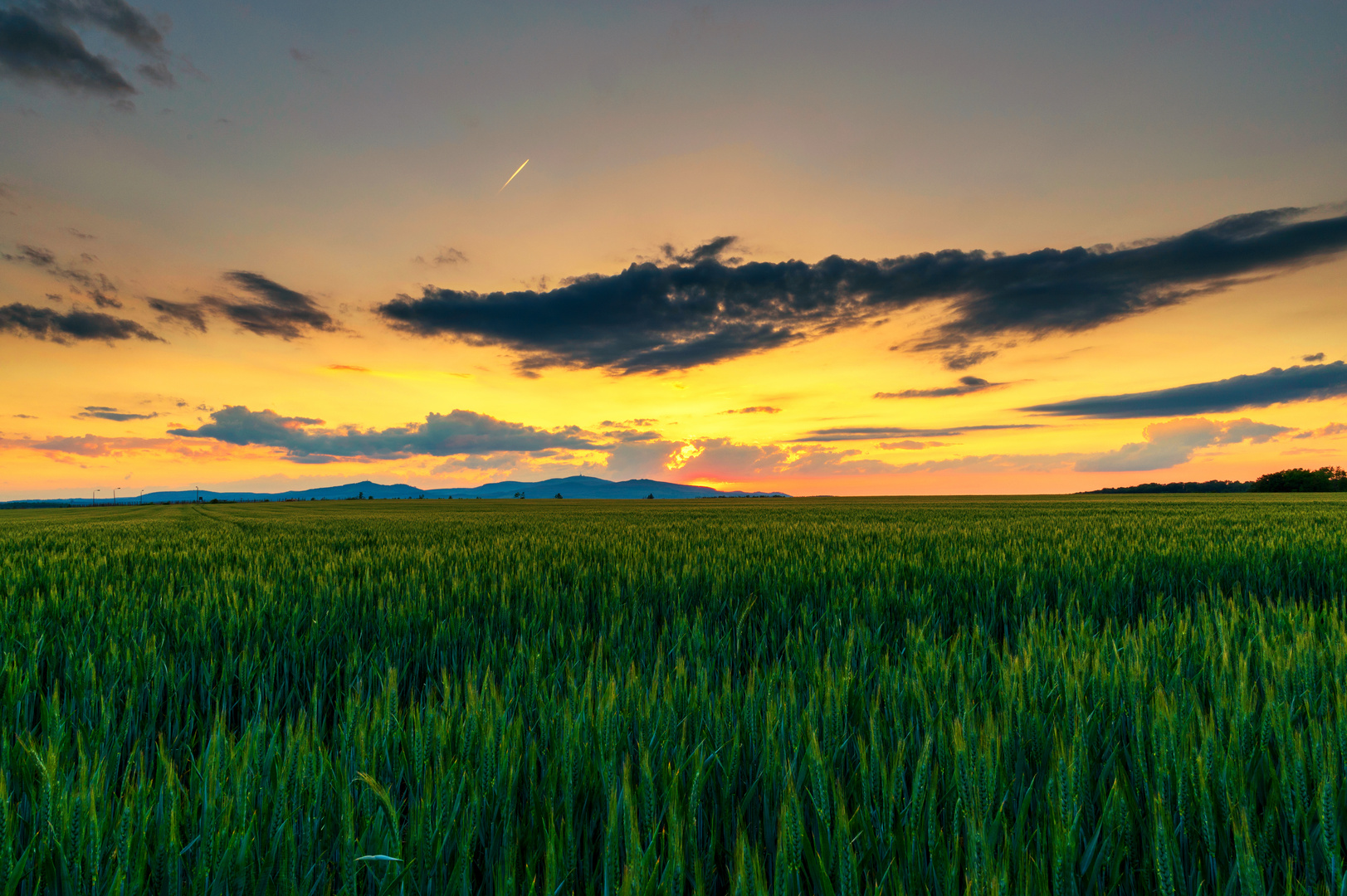 Wunderschöner Sommersonnenuntergang über Feldern