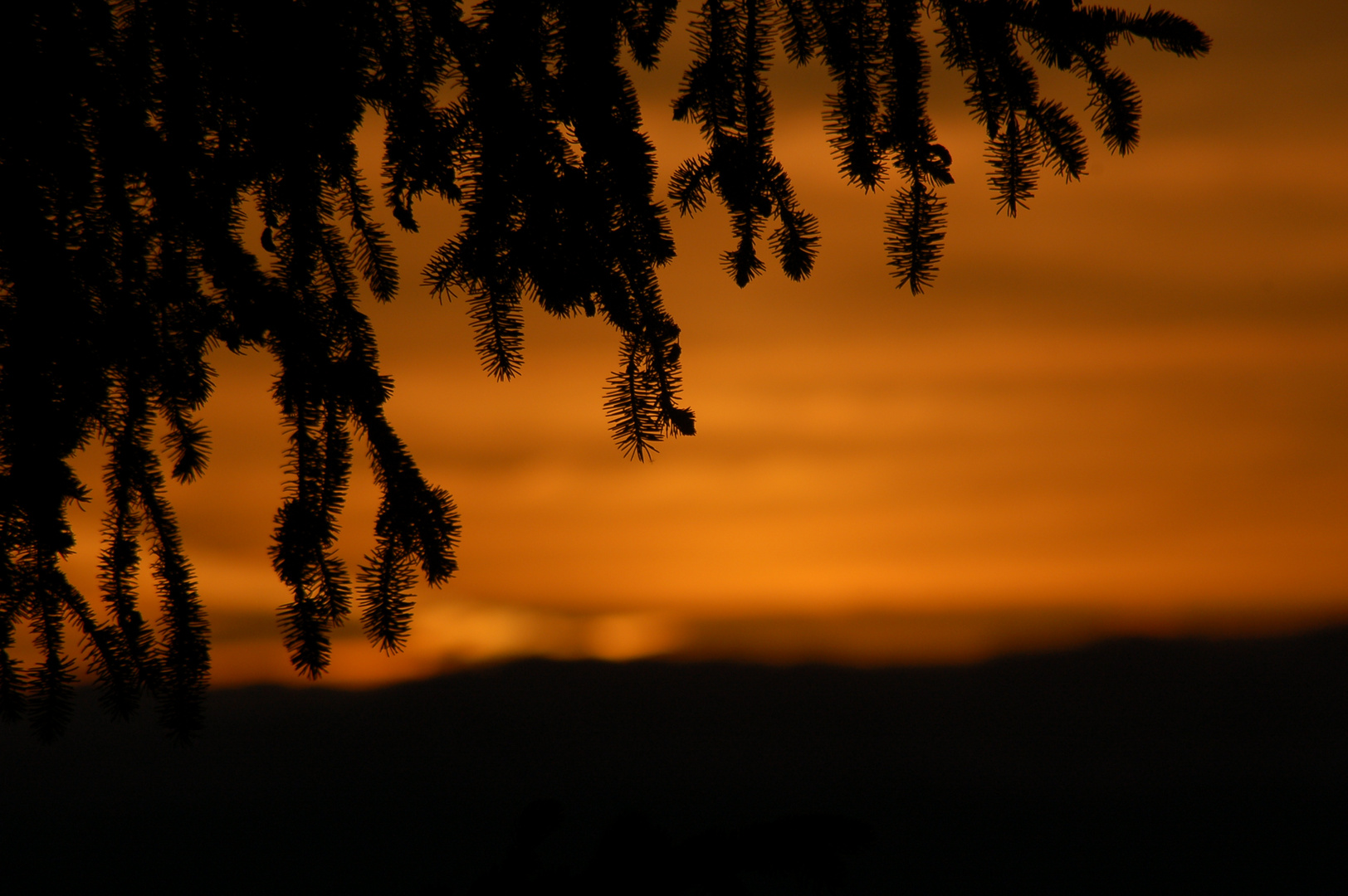 Wunderschöner Sonnenuntergang!