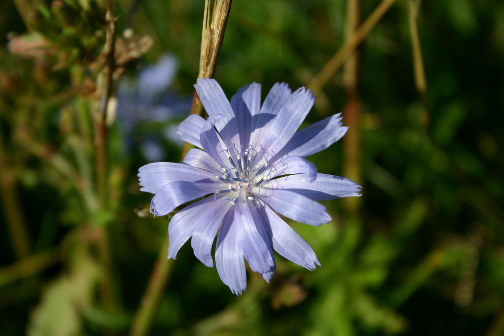 wunderschöner sonniger Tag