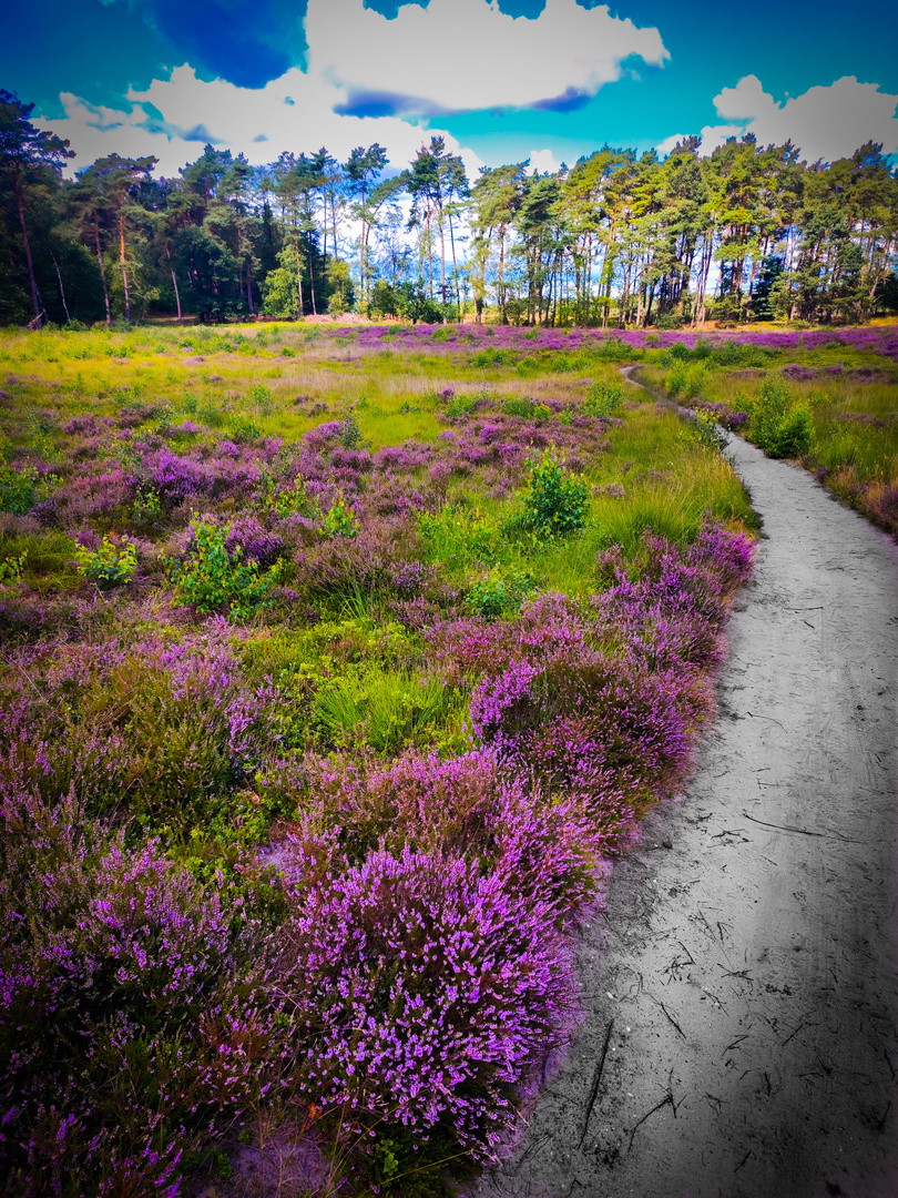 wunderschöner Spaziergang 