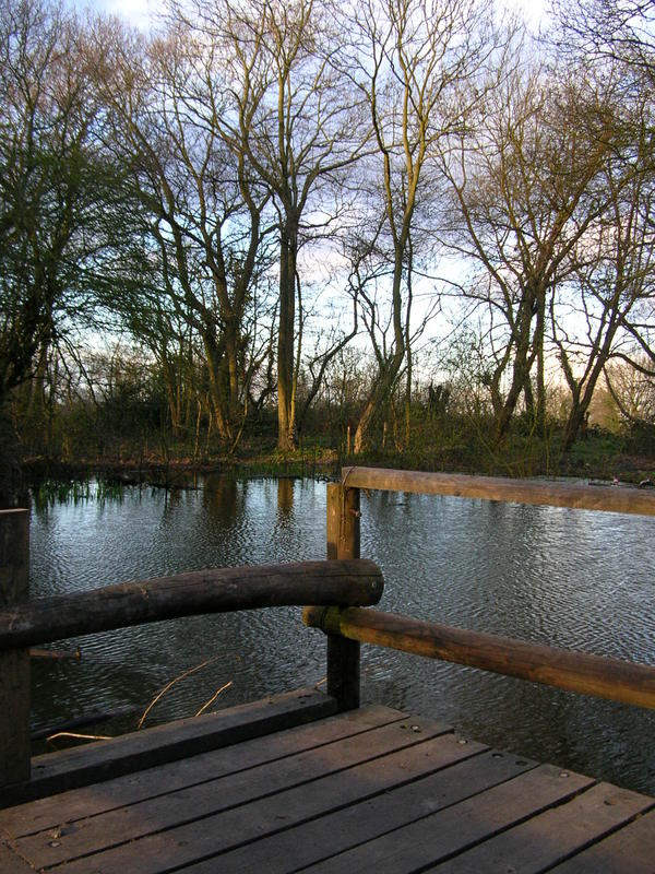 Wunderschöner Teich im Wald von England