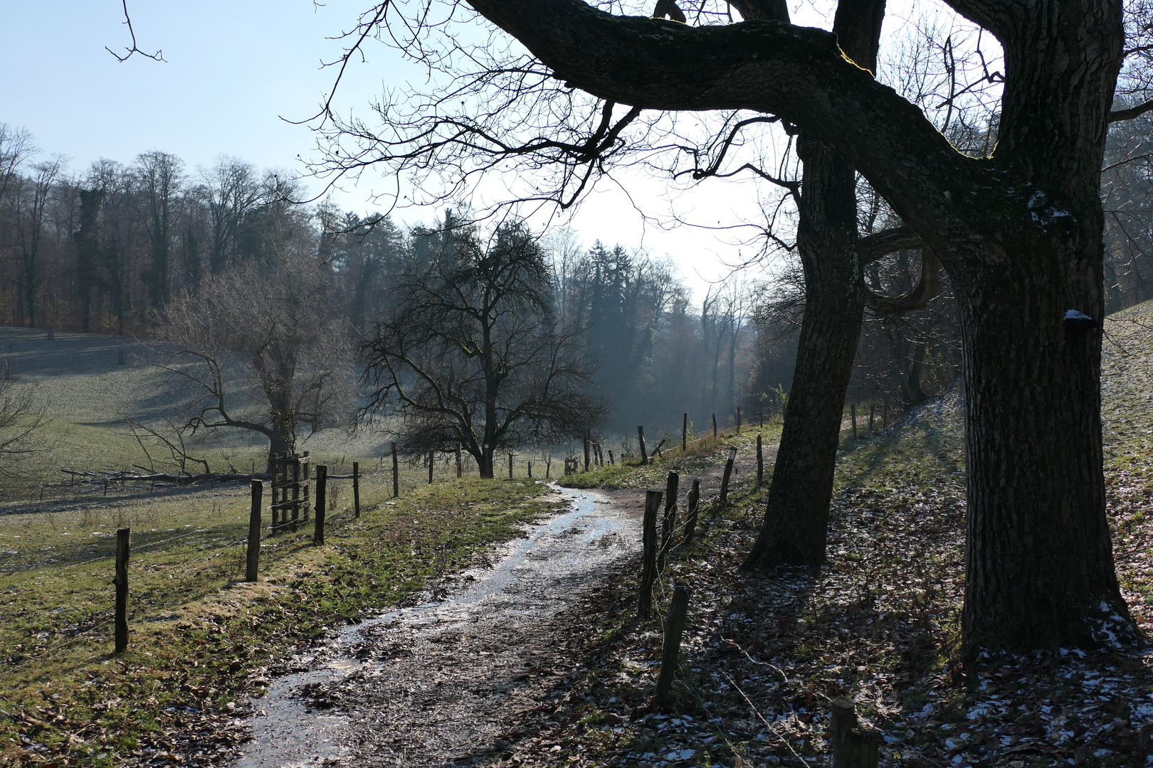 wunderschöner Weg im Winter