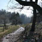 wunderschöner Weg im Winter