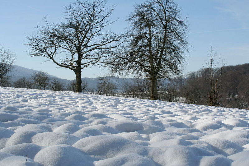 wunderschöner Wintertag...