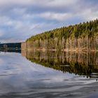 Wunderschöner Wintertag an der "Klausen"