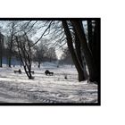 Wunderschöner Wintertag im englischen Garten.